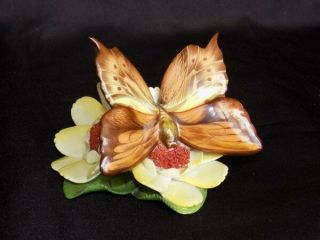 Vtg Herend Hand Painted Butterfly Resting On Flower Stem Porcelain Figurine