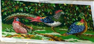 Vintage Colorful Chinese Pheasants Completed Needlepoint Pillow Bench 23 By 49