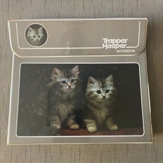 Vintage Trapper Keeper With Portfolio Folder 1980s Kittens Cats Mead
