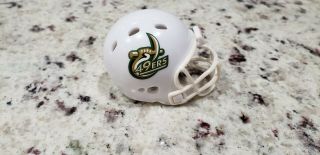 Custom 2013 - 2017 Charlotte Pocket Pro Football Helmet
