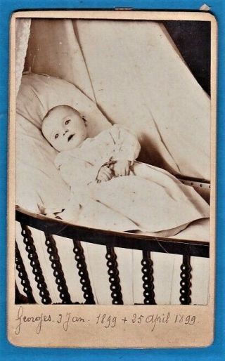 Vintage Cdv Photo Post Mortem Baby Boy Poperinghe Belgium 1899