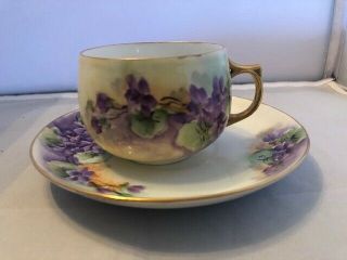 Vintage Purple Peonys Porcelain Tea Cup & Saucer J&c Bavaria