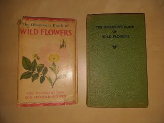 Observers Book Of Wild Flowers.  Vintage 1965,  Dj.  Bright Ilustrations.  Vgc.