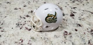 Custom 2013 - 2017 Charlotte Speed Pocket Pro Football Helmet