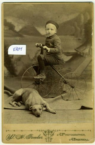 Early Boy On Bicycle Tricycle With Dog Ingersoll Ontario Canada Child Photo