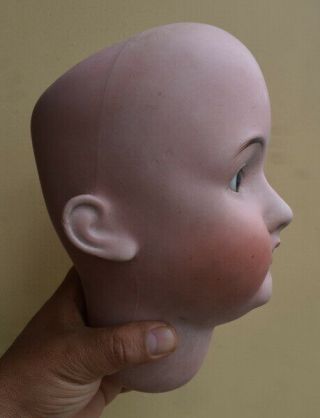 Antique doll Porcelain Bisque Toy Rara Tete Bruno Schmidt German Head Large N19 2