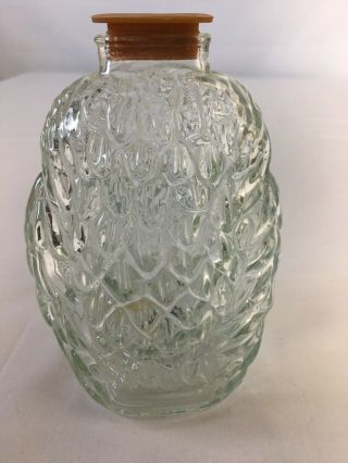Vintage Clear Embossed 3D Wise Old Owl Bank Stopper 2