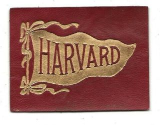 Harvard University Tobacco Leather L - 20 College Seal Pennant C1908 Gold