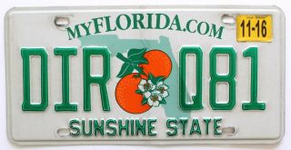 Florida 2016 " Orange Blossom " License Plate,  Dir Q81,  Sunshine State