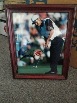 Tiger Woods Signed Photo Framed