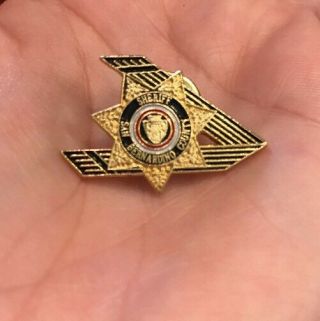 Vtg San Bernardino Ca Sheriff Police Department Law Enforcement Pin Badge