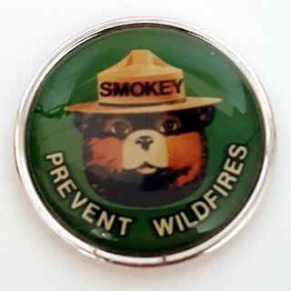 Smokey The Bear Prevent Wildfires Green Vintage Magnet