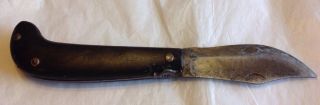 Antique 18th 19th Cent Folding Clasp Lock Fighting Knife Pistol Grip Horn Handle