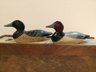 Miniature Mason`s Detroit Redhead Duck Decoys By T.  J.  Hooker 77 Of 500
