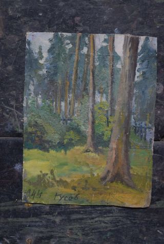 Antique Russian 1944 Ussr Oil On Canvas Gusev Yuri,  45