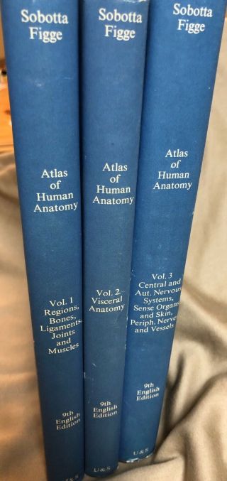 Vintage 3 Volume Set Medical Atlas Of Human Anatomy Johannes Sobotta Figge 1977