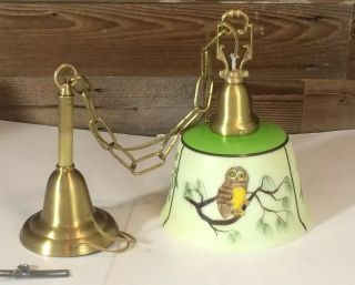 Vintage Hanging Light Hand Painted Milk Glass Globe Owls Swag Lamp 1996 Green