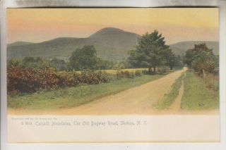 Vintage Postcard - The Old Dugway Road - Catskill Mountains Shokan York