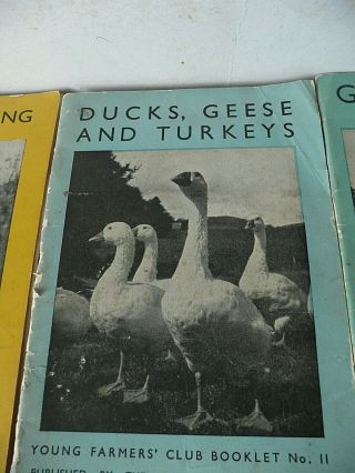 1946 Vintage Farming - Young Farmers Club Booklets poultry,  ducks/geese/grassland 3
