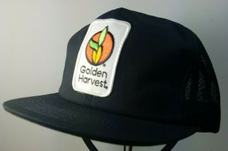 Vintage Golden Harvest Hat Cap Snapback Seed Farmer K - Products Made In Usa