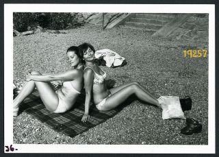 Sexy Girlfriends Sunbathing In Bikini,  Swimsuit,  Vintage Photograph,  1970’s