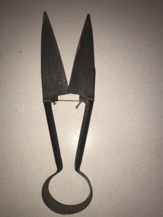 Vintage Unmarked Right Hand Sheep Shears Wool Clippers Cutters