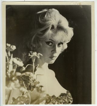 Attrib.  Peter Basch Vtg Brigitte Bardot " The Night Heaven Fell " Set Press Photo