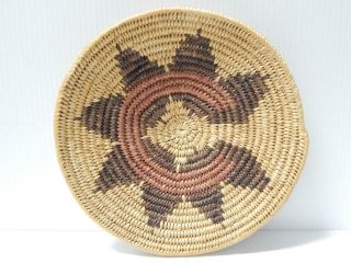 Vintage 9 1/2 " D Navajo / San Juan Paiute Indian Wedding Basket - Patina