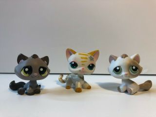 Lps Vintage Littlest Pet Shop Toys Set Of 3 Cats - Bobbleheads 64,  197,  2215
