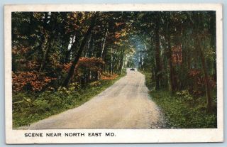Postcard Md North East Scenic View Car On Forrest Road Vintage C1920s K17