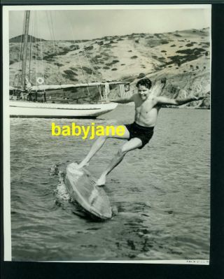Arthur Lake Vintage 8x10 Photo 1938 Catalina Standing On Paddle Board Beefcake