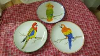 Set Of 3 Vintage Japan Porcelain Tropical Bird Flower Plates Parrots