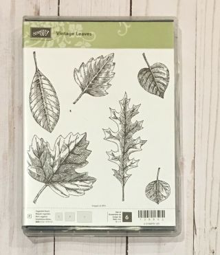 Stampin Up - Vintage Leaves Bundle