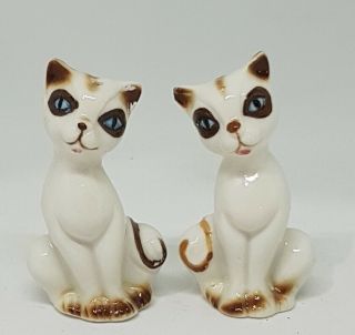 Collectable Vintage Salt & Pepper Shakers Cute Blue Eyed Cats 6.  5cm
