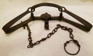 Vintage Hawley & Norton 4 Double Long Spring Trap Trapping Newhouse