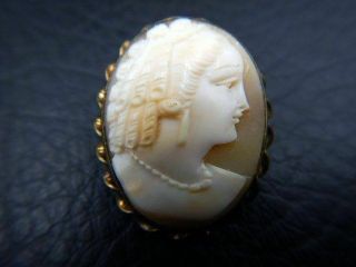 Vintage Brooch Pin Signed Amco 10k Gold Filled Carved Shell Cameo W/ Ringlets