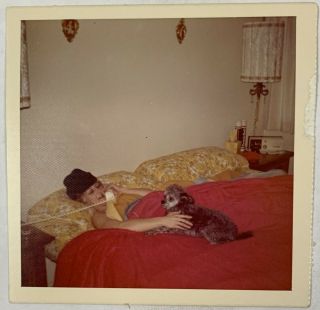 Color,  Telephone In Bed Woman,  Dog,  Tootsie Roll Decor Vintage Photo Snapshot
