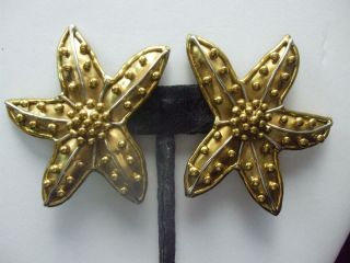 Vintage 1980s Clip On Earrings 2.  5 " X 2 " Solid Brass Starfish Nautical Beach