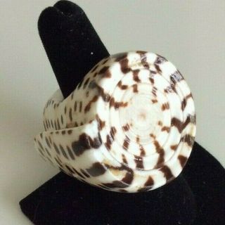 Vtg Chunky Carved Spiral Seashell Spotted One Of A Kind Ring Sz 8