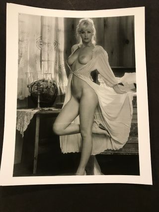 Dorothy Stratton Sexy Vintage 8 X 10 Photograph From Irving Klaws Archives 3