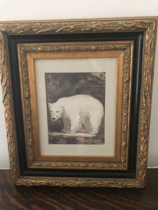 Vintage Decorative Arts Inc.  Polar Bear Etching Print Antique Like Frame 14x16