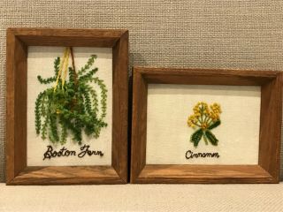 Vintage 70s Framed Completed Crewel Embroidery Plant Boston Fern & Cinnamon Set