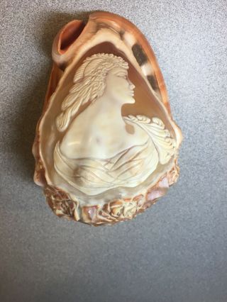 Vintage Hand Carved Cameo Image Shell Conch Seashell Handmade Italian Italy Lady