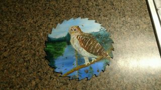 Vintage Hand Painted Saw Blades Owl Scene River Stream Bird Art
