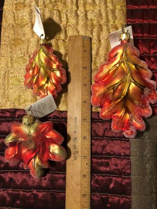 3 Vintage Christopher Radko Oak & Maple Frost Ornaments - Autumn Leaves W Tags