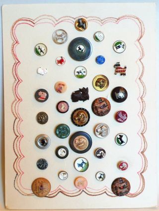 Button Collectors Novelty Card All Dogs Vintage 36 Dog Buttons Scotties