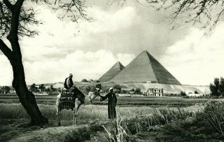 Vintage Rppc The Pyramids Of Giza,  Egypt Postcard P151