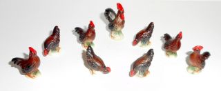 Vintage Bone China Figurine Rooster And 8 Hens Miniature Brown Chickens Farm