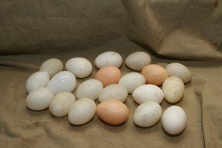 20 Vintage Eggs 19 Plastic Laying Eggs 1 Glass Ornamental 2.  5 "