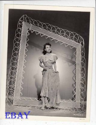 Joan Crawford Sexy Ladylike Vintage Photo